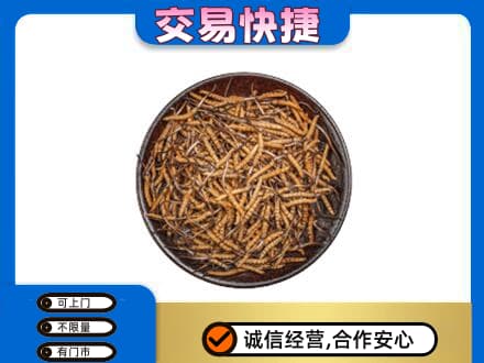 泉州高价回收散虫草
